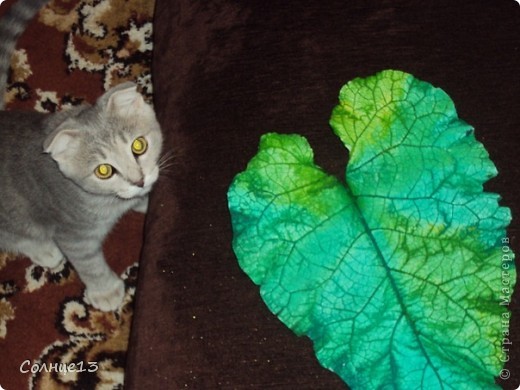 проверенно, можно использовать =))) (фото 5)