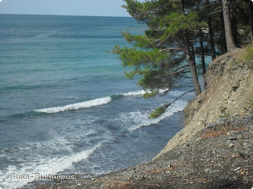 Выбрались мы на выходных к морю, отдохнуть, захватили фотоаппарат, и как оказалось - не зря, природа у нас на Кубани очень красивая. Вот мне и захотелось поделиться с вами, жители нашей Страны, всей этой красотой..... (фото 1)