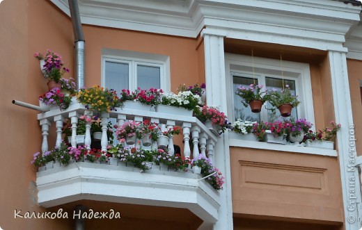 Чудо-балкончики! (фото 27)