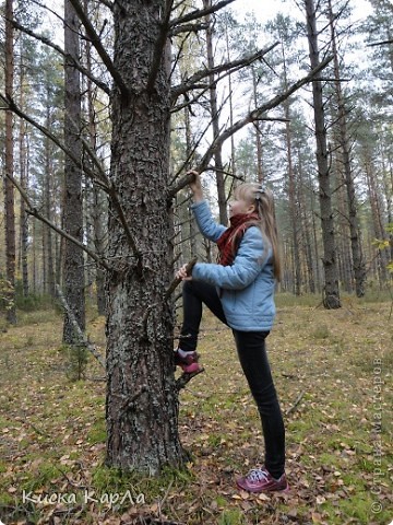 Теперь пытаюсь влезть на дерево ... как медведь. (фото 35)