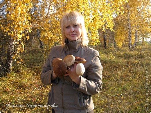 последний урожай...на следующий день снег лег! (фото 6)