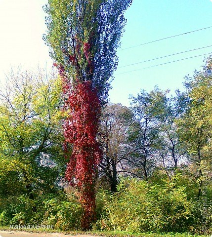 мои фотографии. наш город . (фото 3)