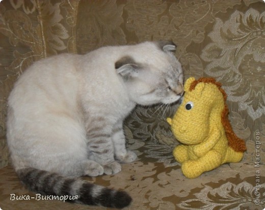 И вот пока я нашего нового подаренного друга фоткала , котенок решил познакомиться с ним и выяснить - кто же это такой ... ... непонятно как-то пахнет ... (фото 5)