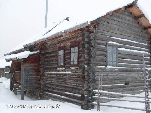 Снег...Страусы...Урал...Хохловка (фото 5)