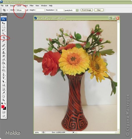 Выберем инструмент Crop Tool (Кадрирование). Можно ему заранее задать ширину и высоту (я задала только ширину 520 px, как требует СМ). Тогда как бы вы не растягивали интсрумент, размер фрагмента в любом случае окажется тот, что указали в параметрах. Можно не задавать ничего, тогда обрежется "как есть". Чтобы кадрировать картинку, устанавливаем курсор в начальную точку, зажимаем левую клавишу мышки и, не отпуская, тянем до желаемой точки. Отпускаем и жмем Enter. (фото 3)