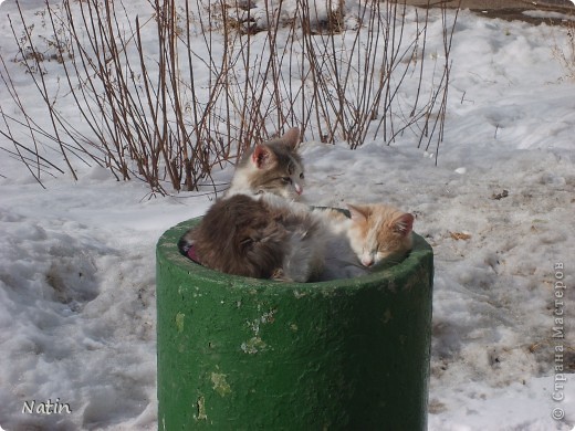 А этот кадр я сделала год назад. На улице...
 (фото 6)