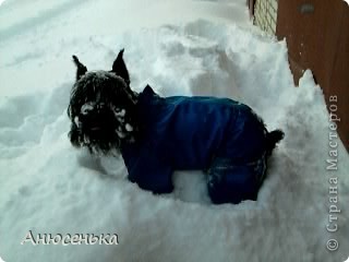 Извините, опять ошибся! (фото 4)