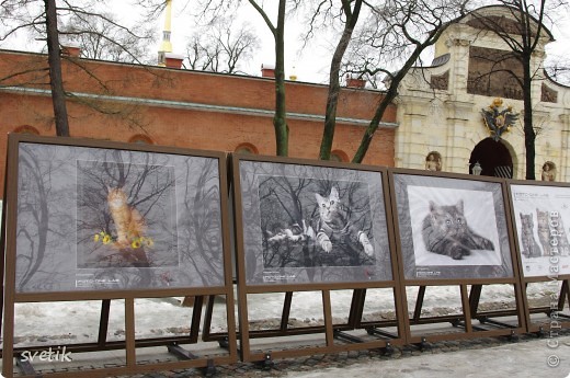 Идем в соседнее здание, любуемся фотографиями.. (фото 7)