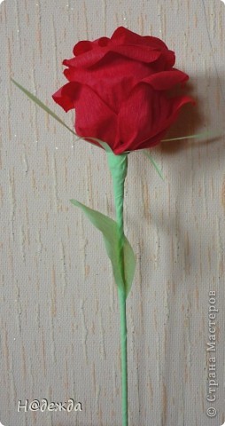 Это еще одна. У них один недостаток они очень мнуться, если бы они были из цветочной гофробумаги было бы гораздо лучше. Но это были первые пробы. (фото 4)