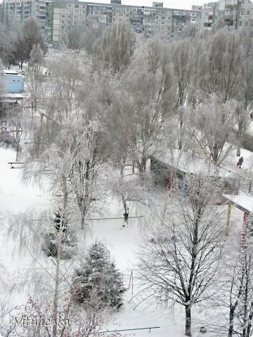 Зимнее сказочное утро, все деревья в инее (фото 2)