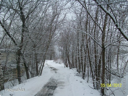 Крякающие соседи (фото 17)