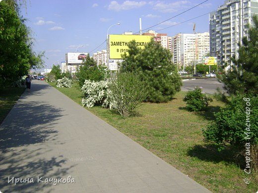 Краснодар. Весна 2012 (фото 6)