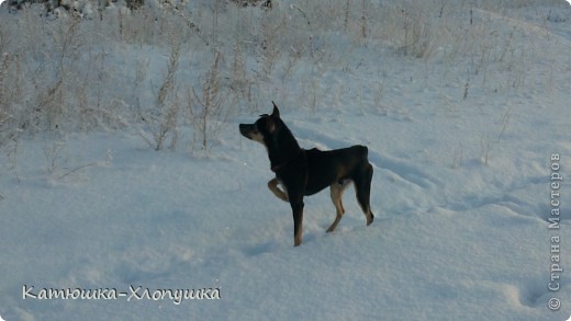 Декабрь. Нам почти 9 месяцев. Было очень тепло и мы гуляли без одежды) Красавец какой!!! (фото 15)