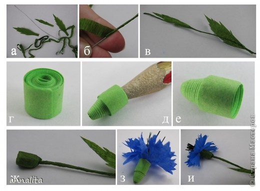  
1.	Для стебелька обмотать проволоку (длина 23-25 см) зеленой бумагой (рис.б)
2.	Приклеить заготовленные листочки к стебельку (рис.в)
3.	Для цветоложа заготовить полоску зеленой бумаги (ширина 0,5 см, длина приблизительно 29-30 см) из листа А-4 
4.	Скрутить полоску в тугую спираль, подклеить край (рис. г)
5.	Выдавить с помощью карандаша сердцевинку так, чтобы получилось цветоложе в виде конуса (рис.д,е)
6.	Вставить стебелек в цветоложе (рис.ж)
7.	Приклеить цветоложе к цветку (рис.з)
 (фото 7)