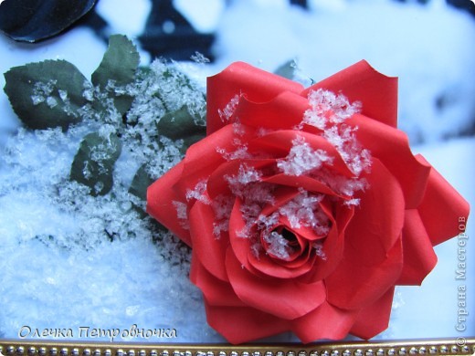 Вот она... (фото 2)