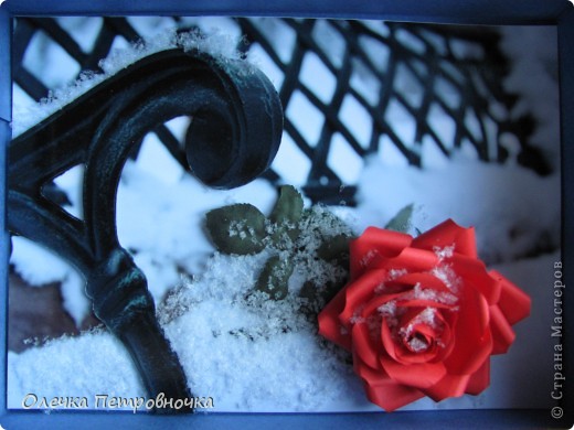 Вечер... ушли, а ее забыли на морозе... (фото 1)