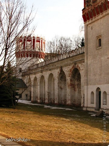 Новодевичий женский монастырь (фото 5)