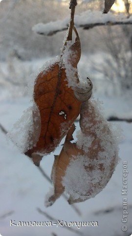 Зима 2012 (фото 9)