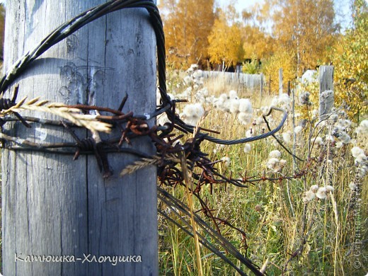 Порт "Байкал", противоположный берег поселка Листвянка. Сентябрь, 2011 (фото 15)