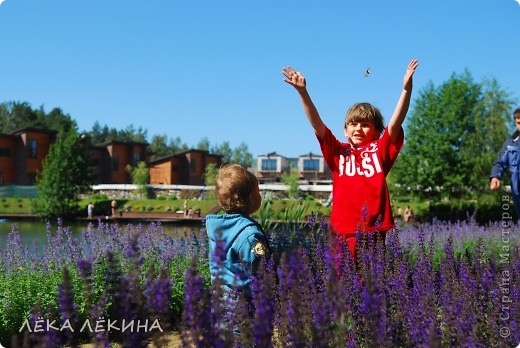 Ну и напоследок вам чуток бабочек и лета! (фото 10)