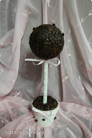 Coffee topiary. (фото 2)