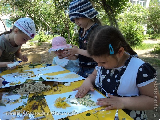 "Художества" в природе (фото 8)