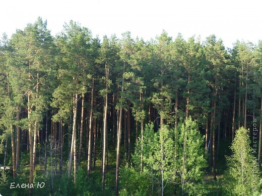 Снимок сделан с балкона дома, где мы жили (фото 9)