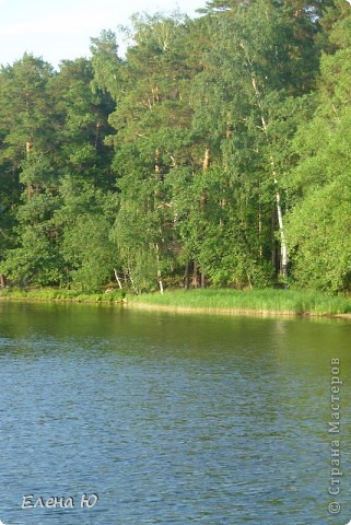 Озеро Еловое (Челябинская область, Чебаркульский район) (фото 4)