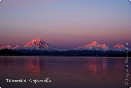 наши...домашние... (фото 23)