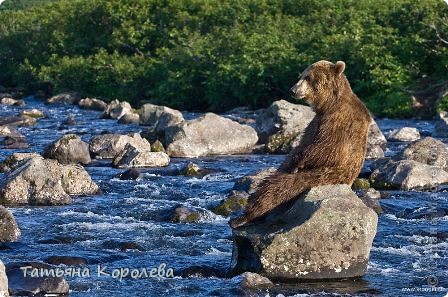 ... между первой и второй...перерывчик не большой! (фото 17)