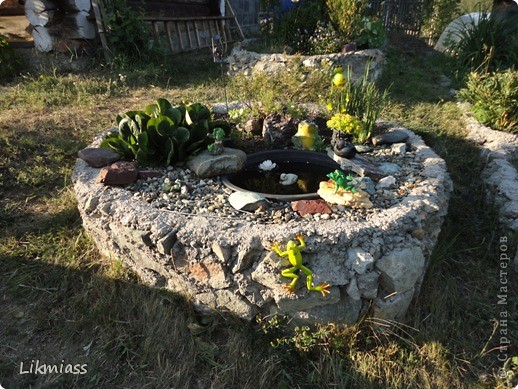 Мой лягушатник. Сегодня вот наметила еще одну особу прикупить им в компанию. (фото 34)