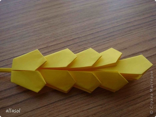 как сделать колосок можно посмотреть http://origami-paper.ru/origami/russian/shemy_origami/priroda_koloski.html (фото 11)