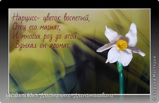 Подробнее их великолепные композиции, не ограниченные только нарциссом https://podjem-tal.ru/node/393482?c=new (фото 19)