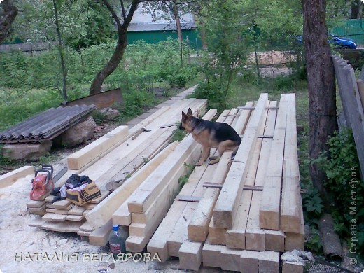 И последняя фотография двухлетней давности. Шаша собака Гера на страже строительного материала. (фото 15)