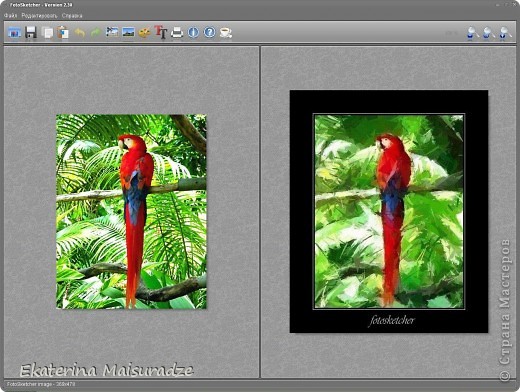 По умолчанию программа открывает вот таких ярких попугайчиков. Левая часть - оригинал фото, в правой будет размещаться обработанное нами фото. (фото 4)