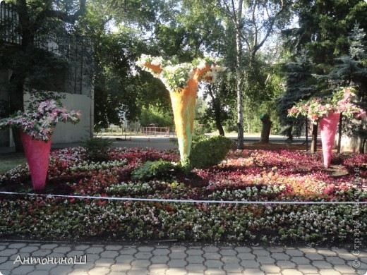 Выставка цветов в Омске " Флора -2012 " (фото 5)