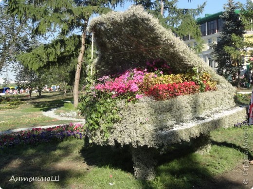 Выставка цветов в Омске " Флора -2012 " (фото 16)