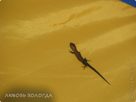 И еще один... (фото 4)