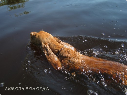 Пожалуй так начнем... (фото 10)