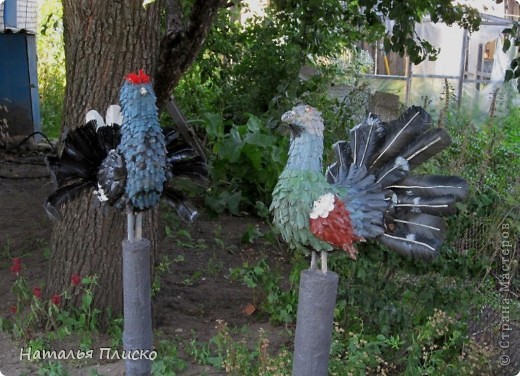 А в глубине сада "поселилась" парочка тетеревов... (фото 12)