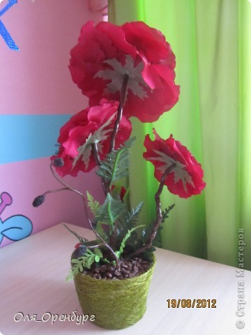 Кофейный топиарий и дерево счастья. (фото 3)