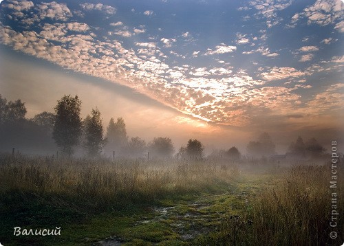 Утрение туманы. (фото 5)