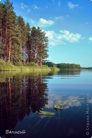 Один красивый уголок природы.  (фото 30)