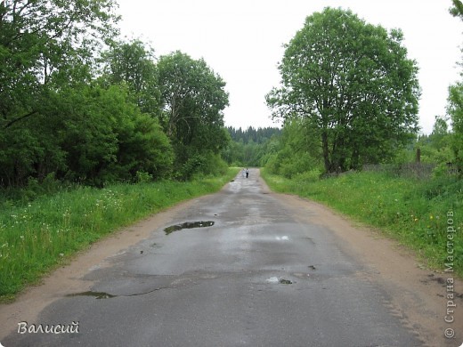 Один красивый уголок природы.  (фото 55)