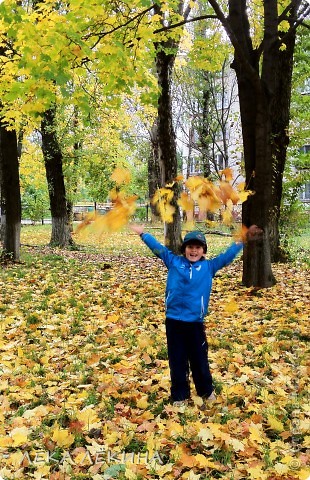 Давайте сделаем детям праздник! Осень это так красиво! (фото 5)