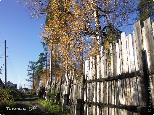 Видим теперь дальше и больше. Оля в заборе клавиши разглядела.Не возражаю,но добавим струнных.Hotel California  от Eagles.Рас-пе-ва-ем-ся!!! (фото 11)