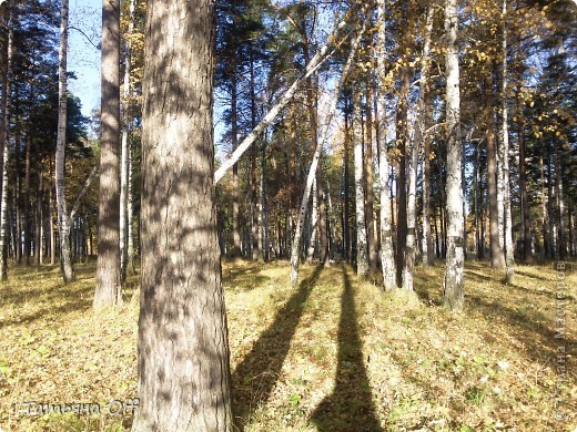 Можно попытаться тенью стать. (фото 24)