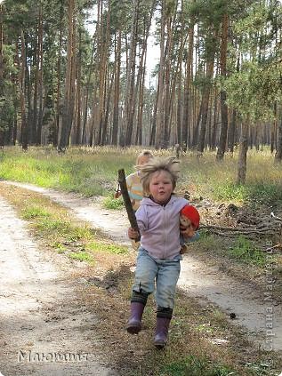 Но искать грибы скучно, лучше бегать, прыгать.... (фото 5)