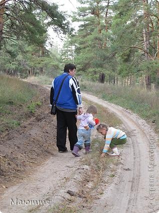 Думаете, что можно найти в песке на дороге? (фото 8)