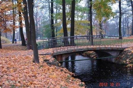 Такая красота кругом... (фото 9)